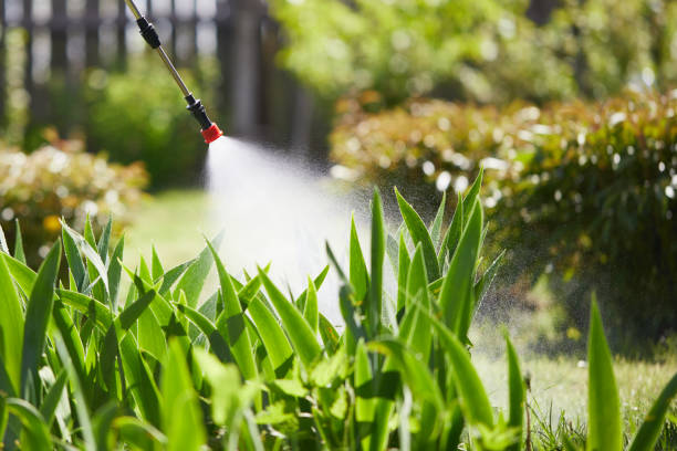 24/7 Emergency Ant Control experts in Stockton, IL