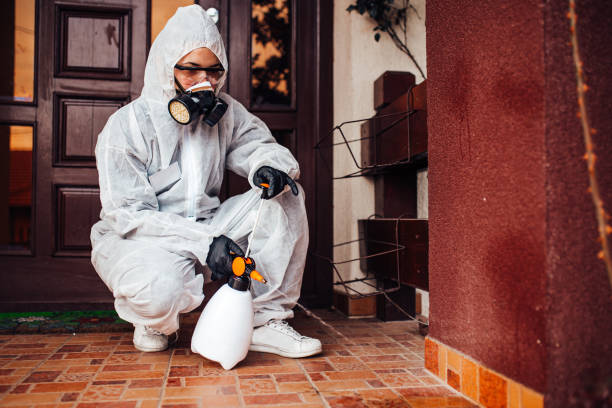 Reliable Ant Control contractor in Stockton, IL by Nex Pest Control