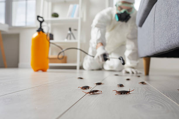 Trusted Termite Control service in Stockton, IL - Nex Pest Control