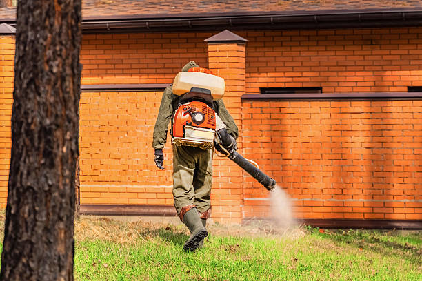 Trusted Ant Control service in Stockton, IL - Nex Pest Control